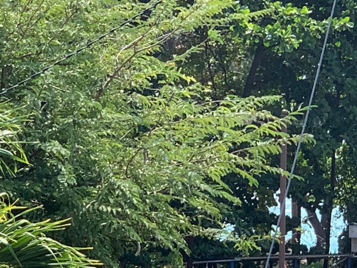 Casa Pereybere Tourist Residence 佩雷贝勒 外观 照片